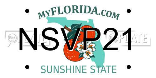 NSVP21 Florida License Plate