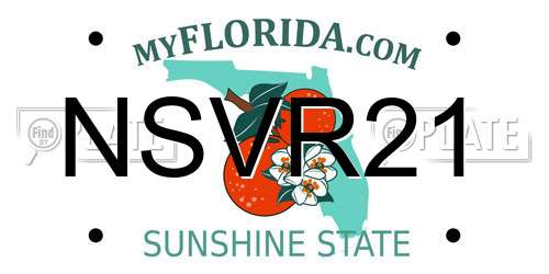 NSVR21 Florida License Plate