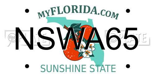 NSWA65 Florida License Plate