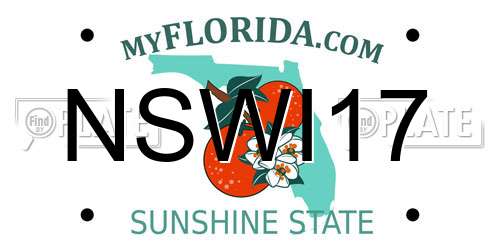 NSWI17 Florida License Plate