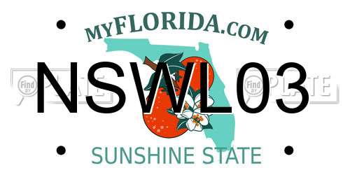 NSWL03 Florida License Plate