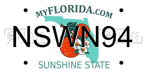 NSWN94 Florida License Plate