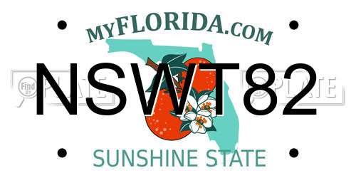 NSWT82 Florida License Plate
