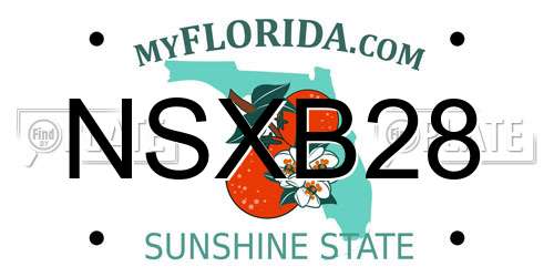 NSXB28 Florida License Plate