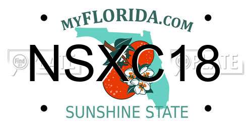 NSXC18 Florida License Plate