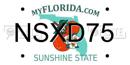 NSXD75 Florida License Plate