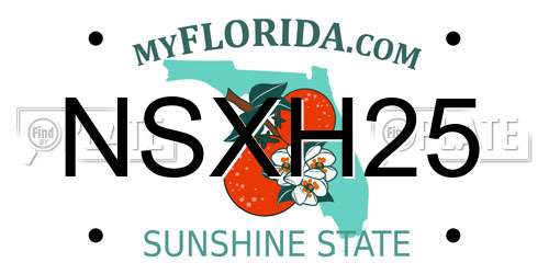 NSXH25 Florida License Plate