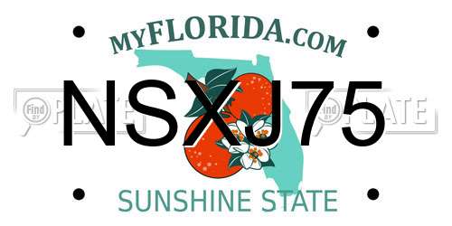 NSXJ75 Florida License Plate