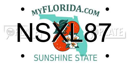 NSXL87 Florida License Plate