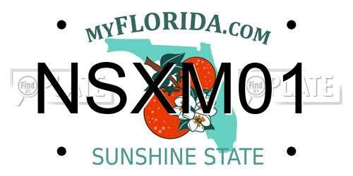 NSXM01 Florida License Plate
