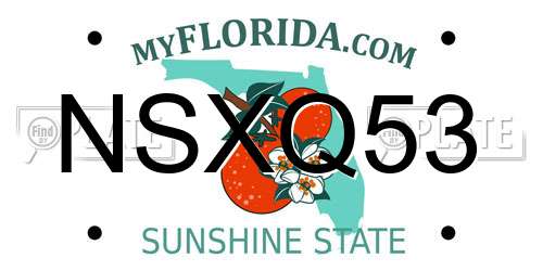 NSXQ53 Florida License Plate