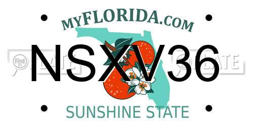 NSXV36 Florida License Plate
