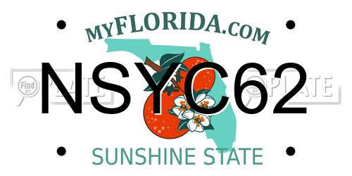 NSYC62 Florida License Plate