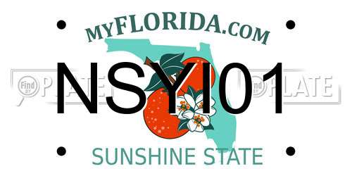NSYI01 Florida License Plate