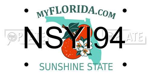 NSYI94 Florida License Plate