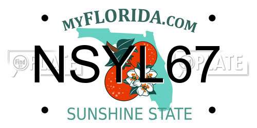 NSYL67 Florida License Plate