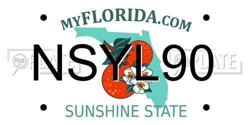 NSYL90 Florida License Plate