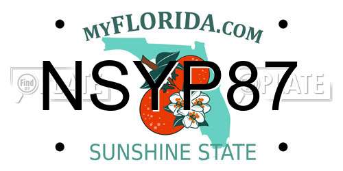 NSYP87 Florida License Plate