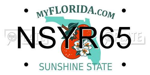NSYR65 Florida License Plate