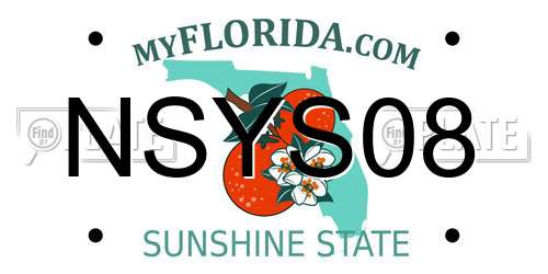 NSYS08 Florida License Plate