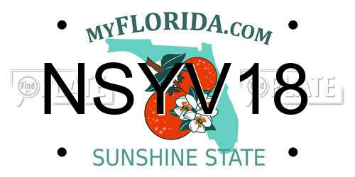 NSYV18 Florida License Plate