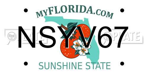 NSYV67 Florida License Plate