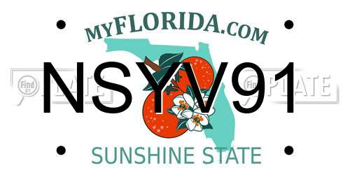 NSYV91 Florida License Plate