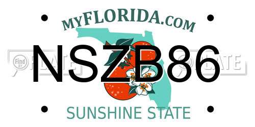 NSZB86 Florida License Plate