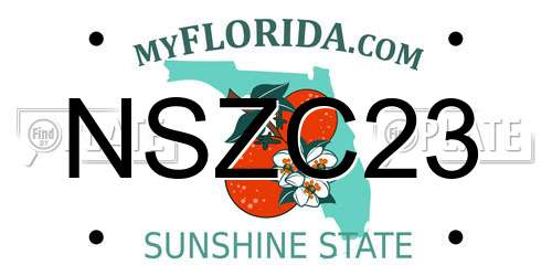 NSZC23 Florida License Plate