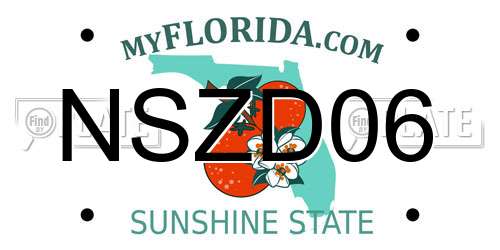 NSZD06 Florida License Plate