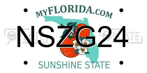 NSZG24 Florida License Plate