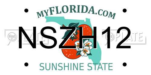 NSZH12 Florida License Plate