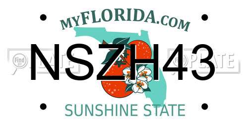 NSZH43 Florida License Plate