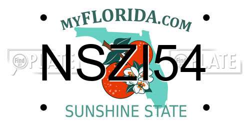 NSZI54 Florida License Plate
