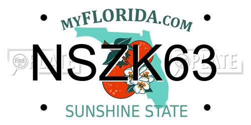 NSZK63 Florida License Plate