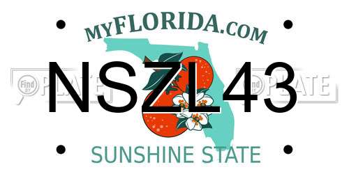 NSZL43 Florida License Plate