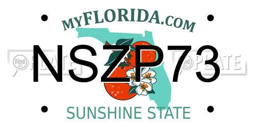NSZP73 Florida License Plate