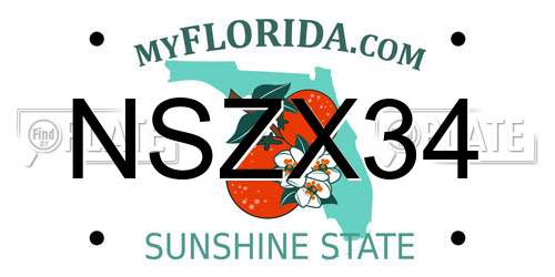 NSZX34 Florida License Plate