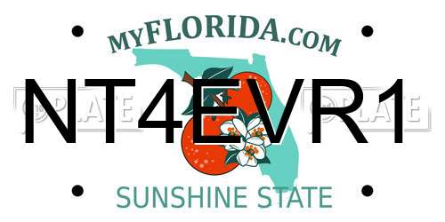 NT4EVR1 Florida License Plate