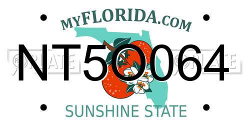 NT5O064 Florida License Plate