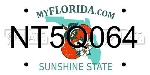 NT5Q064 Florida License Plate