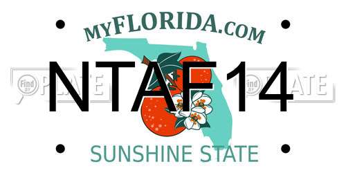 NTAF14 Florida License Plate
