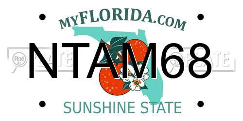 NTAM68 Florida License Plate