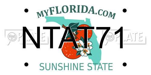 NTAT71 Florida License Plate