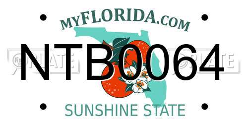 NTB0064 Florida License Plate