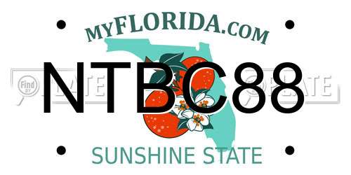 NTBC88 Florida License Plate