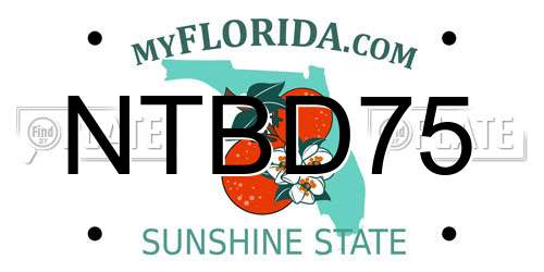 NTBD75 Florida License Plate