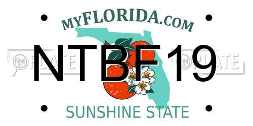 NTBF19 Florida License Plate