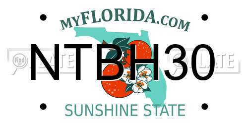 NTBH30 Florida License Plate