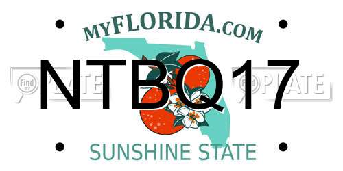 NTBQ17 Florida License Plate